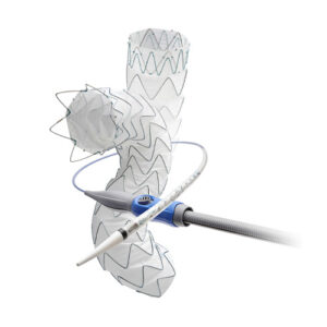 Endoprótesis Endurant™ II | Medtronic