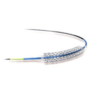 Stent
